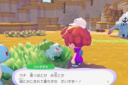 【画像】ポケモン界隈の治安、終わるwwwwwww
