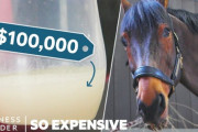 世界一高価な液体、それは馬の・・・！ 海外の反応