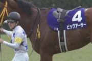 【競馬】福永祐一はセントウルSでビックアーサーを何着に沈めるのか？