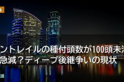 コントレイルの種付頭数が100頭未満に急減？ディープ後継争いの現状