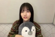 【乃木坂46】ペンギン虐待する林瑠奈.gif おもろい