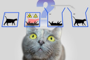 シュレディンガーの猫とかいう科学史上最悪の実験ｗｗｗ