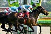 【競馬予想】[2]第82回菊花賞(G1) / 2021