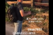 【炎上】牛さんに石を投げつけるZ世代の動画が酷すぎる・・・