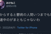 【朗報】元潤羽るしあのみけねこさん、登場人物全員うつ病の原神界隈とメンヘラ戦争勃発