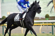 【三連単627万馬券】新潟メインレース　やはりアノ男が波乱を演出ｗｗｗｗ