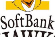 ソフトバンク戦力外、ガチで宝の山すぎる