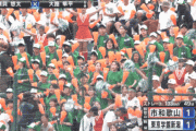 【朗報】カメラマンさん、甲子園で可愛いJKに我慢できずズームアップ