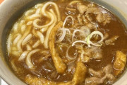 カレーうどん←こいつぶっちゃけカレーライスより美味いよな