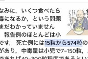 銀杏の致死量、ヤバすぎるｗｗｗｗｗｗｗｗｗｗｗ