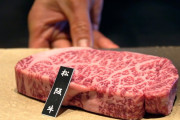海外「食べ物に対する尊敬にあふれてる…」日本の老舗の2万円超の鉄板焼きランチ映像に驚き！？