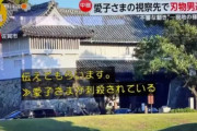 【悲報】フジテレビ「愛子さまが刺殺されている」