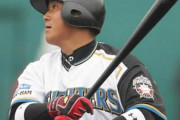 日ハム中田翔（20）.326 30本 95打点 OPS1.041（二軍）