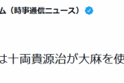 【大相撲】貴源治さん、大麻使用