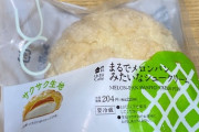 【画像あり】セブンイレブンさん、技術力持て余しすぎて訳のわからない食品を発明してしまう