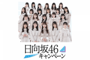 【日向坂46】選ばれし者だけが観覧・視聴できるローソンイベントのレポ、めちゃくちゃ楽しそう