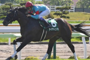【競馬予想】[2]第66回阪急杯(GⅢ) /2022