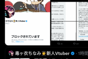 【悲報】人気VTuber「暇空茜はキモかったので半年以上前にブロックしてます」