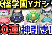 【妖怪ウォッチぷにぷに】妖怪学園Yガシャ50連で神引きなるか！？そこにはビックリな展開が・・・！？（ニャン速ちゃんねる）