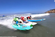【カッコいい！】ワンコたちのサーフィン大会に世界中が熱狂