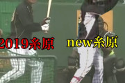 【画像】阪神・糸原の打撃フォームが高山っぽくなる