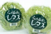 農家「あかん、うちの野菜の商品名思いつかへん…せや！」