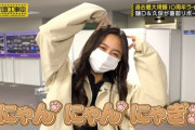 【乃木坂46】樋口日奈×久保史緒里×井上和 にゃんにゃん.gif セット×5期ちゃん意気込み.gif