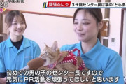 動物インタビュー画像まとめ　かわいい