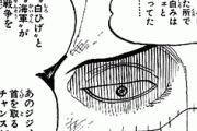 【ONEPIECE -ワンピース】クロコダイル（懸賞金8100万）「白ひげのジジイ（50億）の首は俺が取る」
