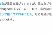 約100匹分のコオロギを麺に練り込んだ国内初の昆虫カップ麺「コオロギうどん」爆誕！