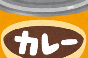 いなばのグリーンカレーとかいう美味すぎる缶詰