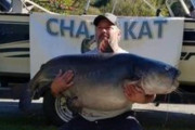 アメリカの釣り大会でぶっよぶよに太った巨大ナマズが釣り上げられる　州記録を更新　
