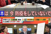 「日本の検査数は韓国の1/10、日本は検査せず感染者を隠蔽してる」← こういう奴を完全論破する方法ｗｗｗｗｗｗ