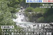 川で釣りをしていた男性、クマに襲われる「鼻がとれそう」