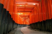 霊感が強すぎて三つの神社クビになった神職だけど質問ある？