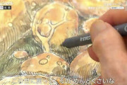 【悲報】宮崎駿監督、最後の最後にとんでもないことをめんどくさがってしまう