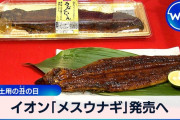 【朗報】大豆イソフラボンでメスにされたウナギ、イオンで売られる