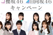 【櫻坂46】クリアファイル、メンバー組み合わせが謎すぎる【ローソンキャンペーン】