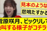 菅原咲月がビックリして絶叫する様子がコチラwww【乃木坂46・のぎおび・乃木坂配信中・乃木坂工事中】