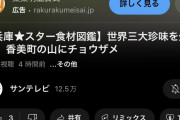 【悲報】元メジャーリーガー20勝投手、youtube97回再生