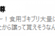 【月ノ美兎】委員長、鬼から食用Gを譲られそうになる　「初めて竜胆尊という女を怖いと思った」【にじさんじ】