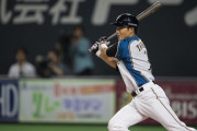 日ハム田中賢介って名選手かな？