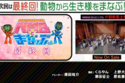 【悲報】NMBとまなぶくん、しれっと終了