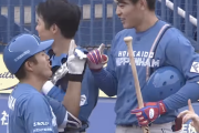 【朗報】日本ハム野手四天王、ガチで強い