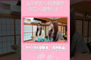 【動画】【⬆️本編はコチラ⬆️】山川が似ている動物は「うさぎ」それとも「あざらし？」🚅【ダイジェスト 】#shorts #櫻坂チャンネル
