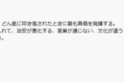 左翼「日本は移民難民を積極的に受け入れ、治安の悪化などを経験をしたほうが成長する」