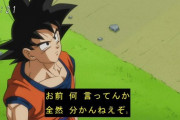 【ドラゴンボール】悟空って生き方としては超絶ブラック企業勤めだよなｗｗｗ