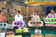 【乃木坂46】内容がハードすぎる・・・与田祐希出演『家、ついて行ってイイですか？』実況まとめ！！！