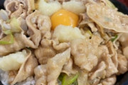伝説のすた丼「お金ないけど腹一杯食いたいだろ、食え！ｗ」