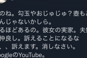 【激怒】太田光代さん、人気YouTuberヘライザーに訴えるぞとブチギレ